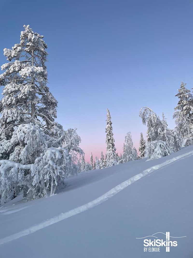 vapaalaskujälki lumisessa kauniissa maisemassa Lapissa