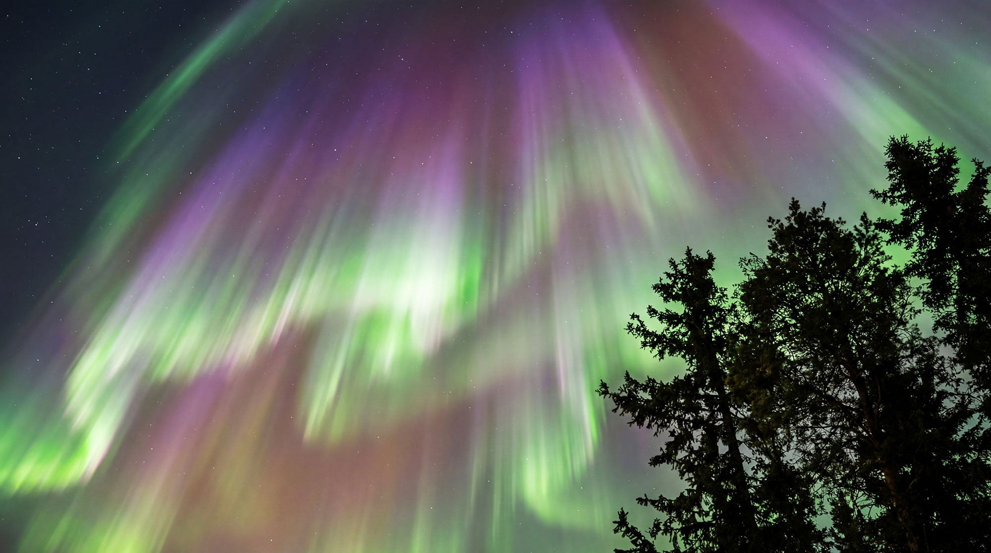 beautiful norhtern lights in Lapland by Elokuje / Anne Kleemola